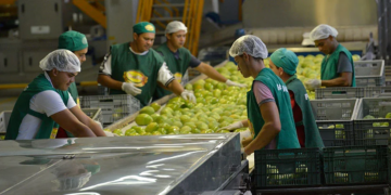 Infraestrutura digital: gigante do setor alimentício conta com data center para intensificar produção no Brasil 8 Servidor Dedicado no Melhor Data Center